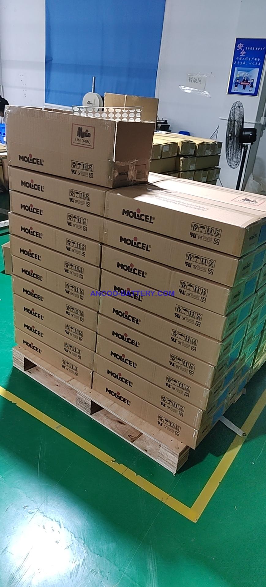 Molicel