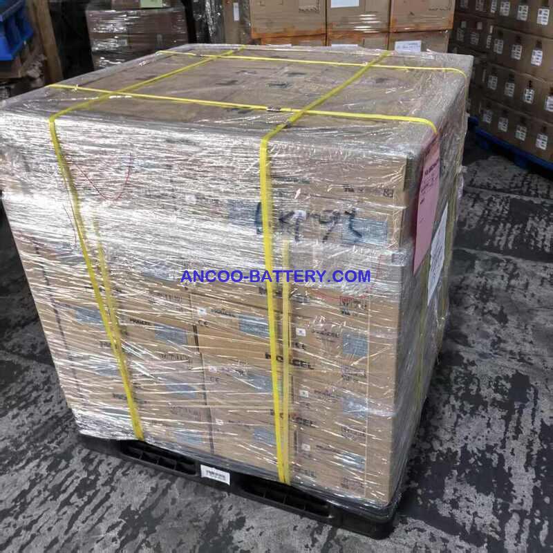 MOLICEL pallet