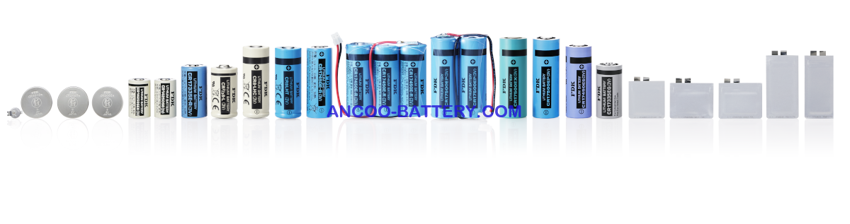 FDK's Lithium Batteries FDK's Lithium Batteries